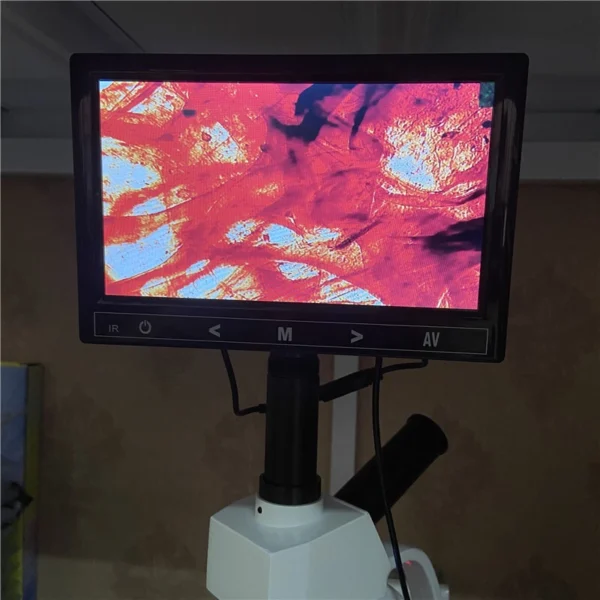 40X-2000X Biological Microscope Sperm Locust Blood Test Microsocpe w7″ Screen